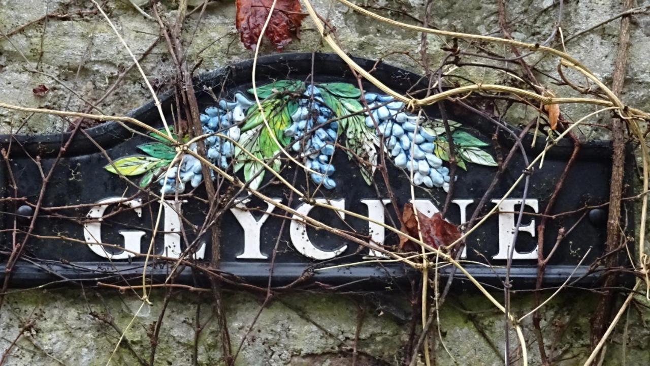 Le Glycine A Manoir Sainte Cecile Juvigny-Val-d'Andaine Exterior foto